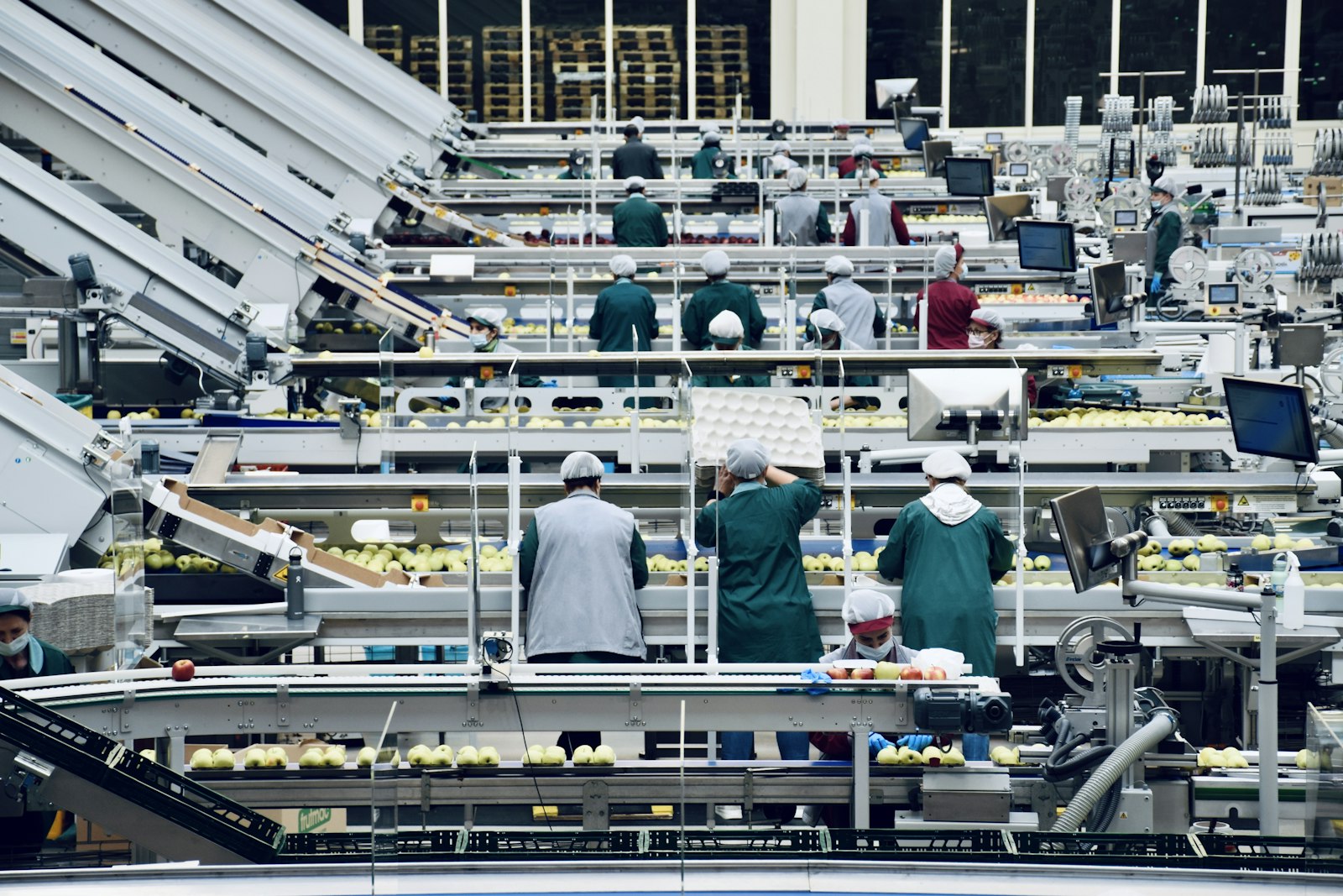 Production and sortation line in a facility